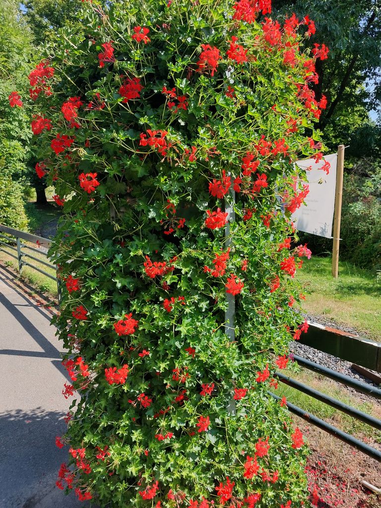 Pflasterarbeiten