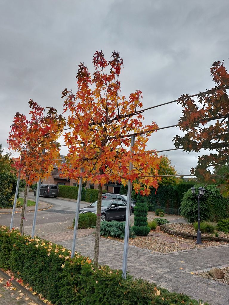 Pflasterarbeiten